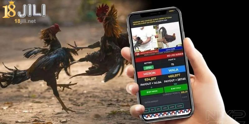 Precondition to join 18Jili Sabong online games